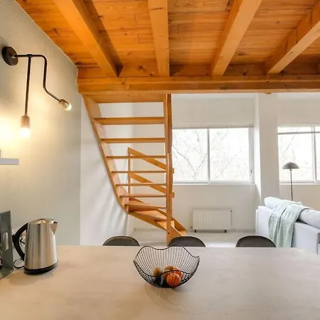 Loft Avec Mezzanine Au Coeur Du 3eme, דירה